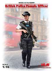 16009 Офицер британской полиции ICM